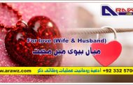 میاں بیوی میں محبت For love (Wife & Husband)